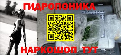 прущие грибы Можайск