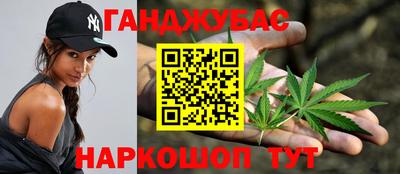 прущие грибы Можайск